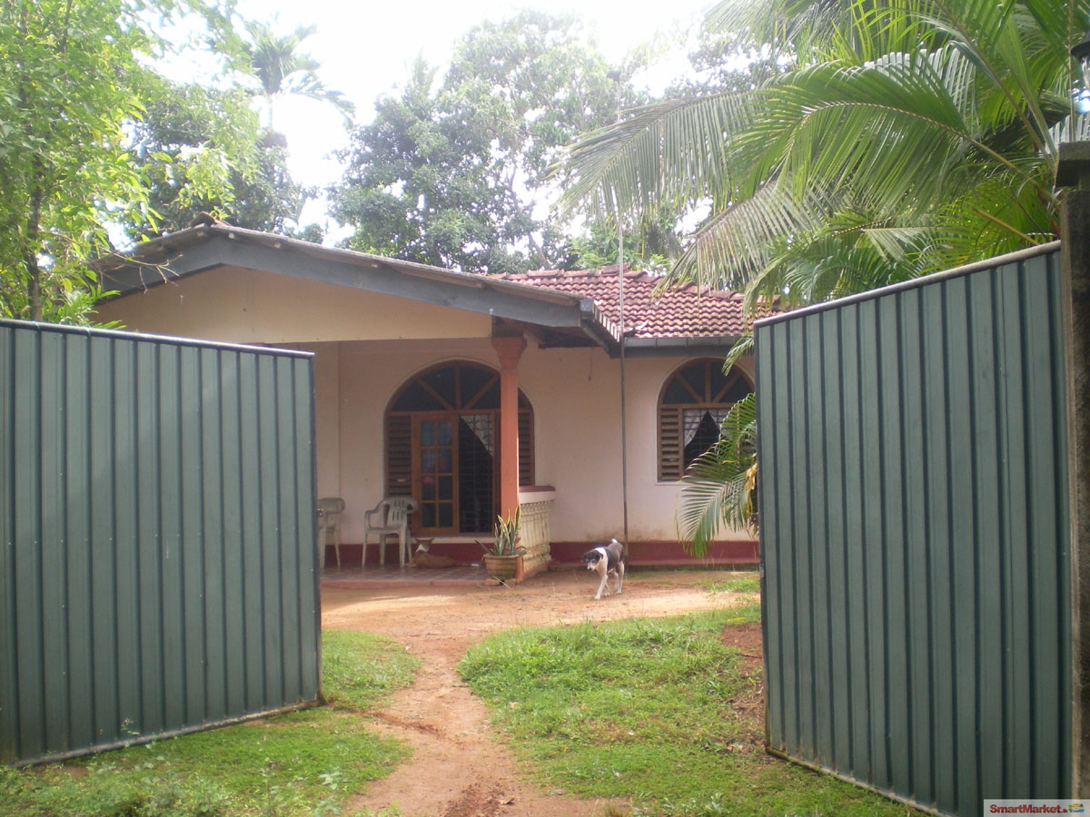 A good place for somebody who need a place in Unawatuna close to the beach
