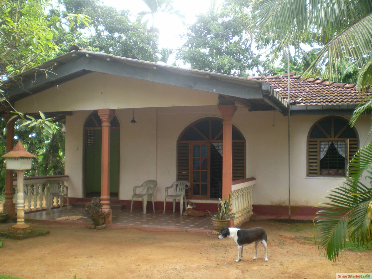 A good place for somebody who need a place in Unawatuna close to the beach