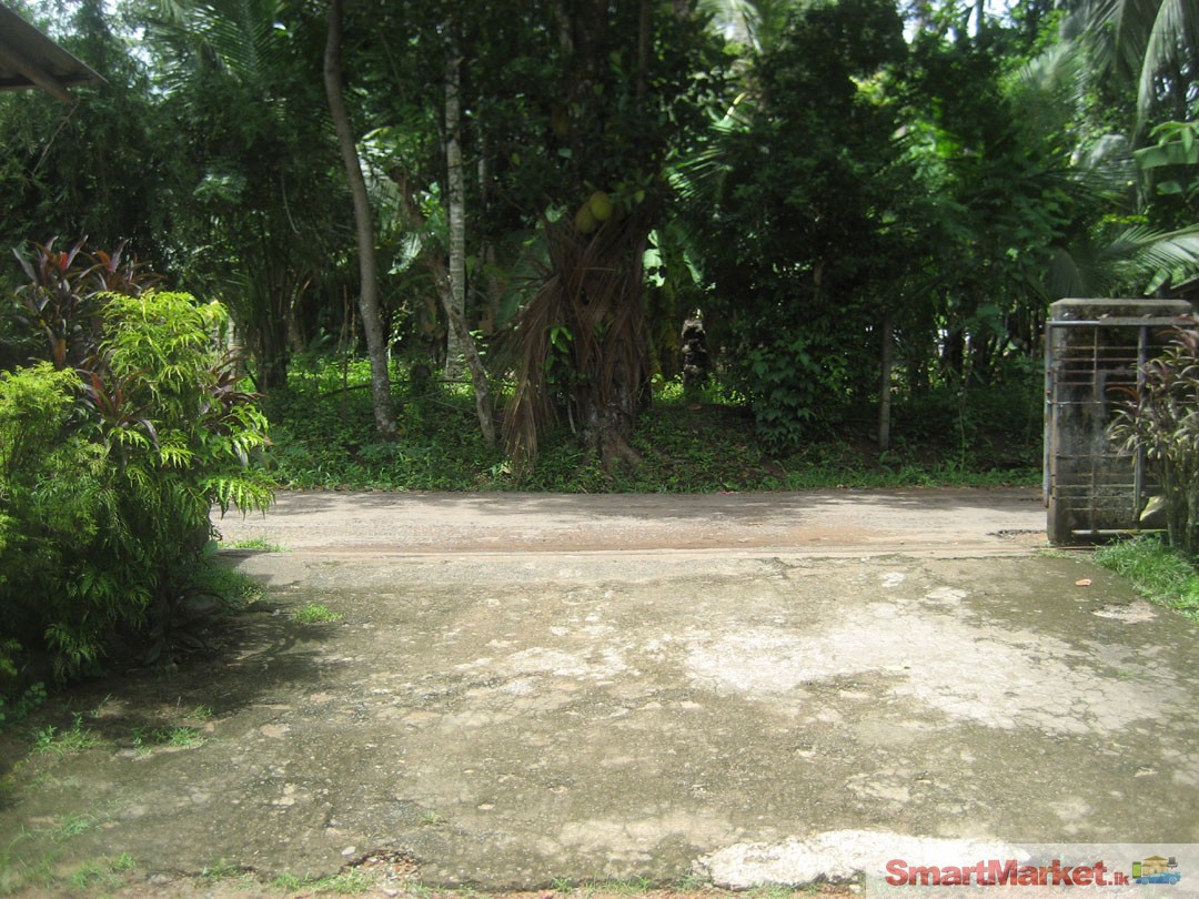 14 PERCHES LAND FOR SALE