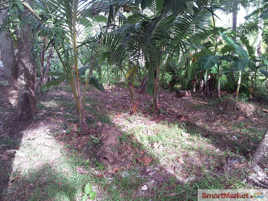 15 land for sale
