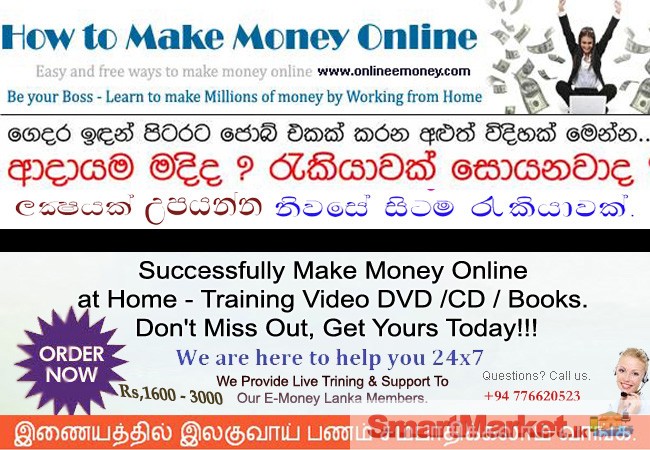 Successfully Make Money Online at Hom