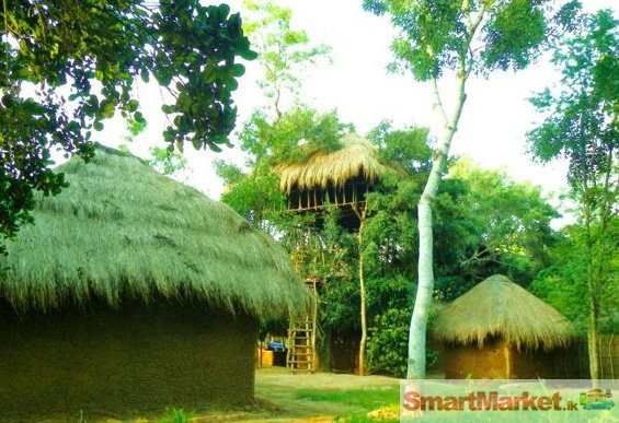 Saraii Village, Wirawila, Local & International Volunteers