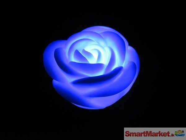 Multi color change LED white rose