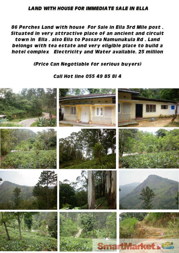 Land with house and Tea estate  for immediate sale