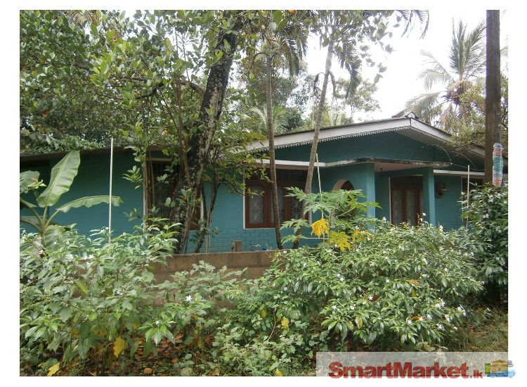 Valuable House in Ampara
