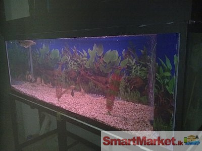 High quality fish tank with Big Steel Stand