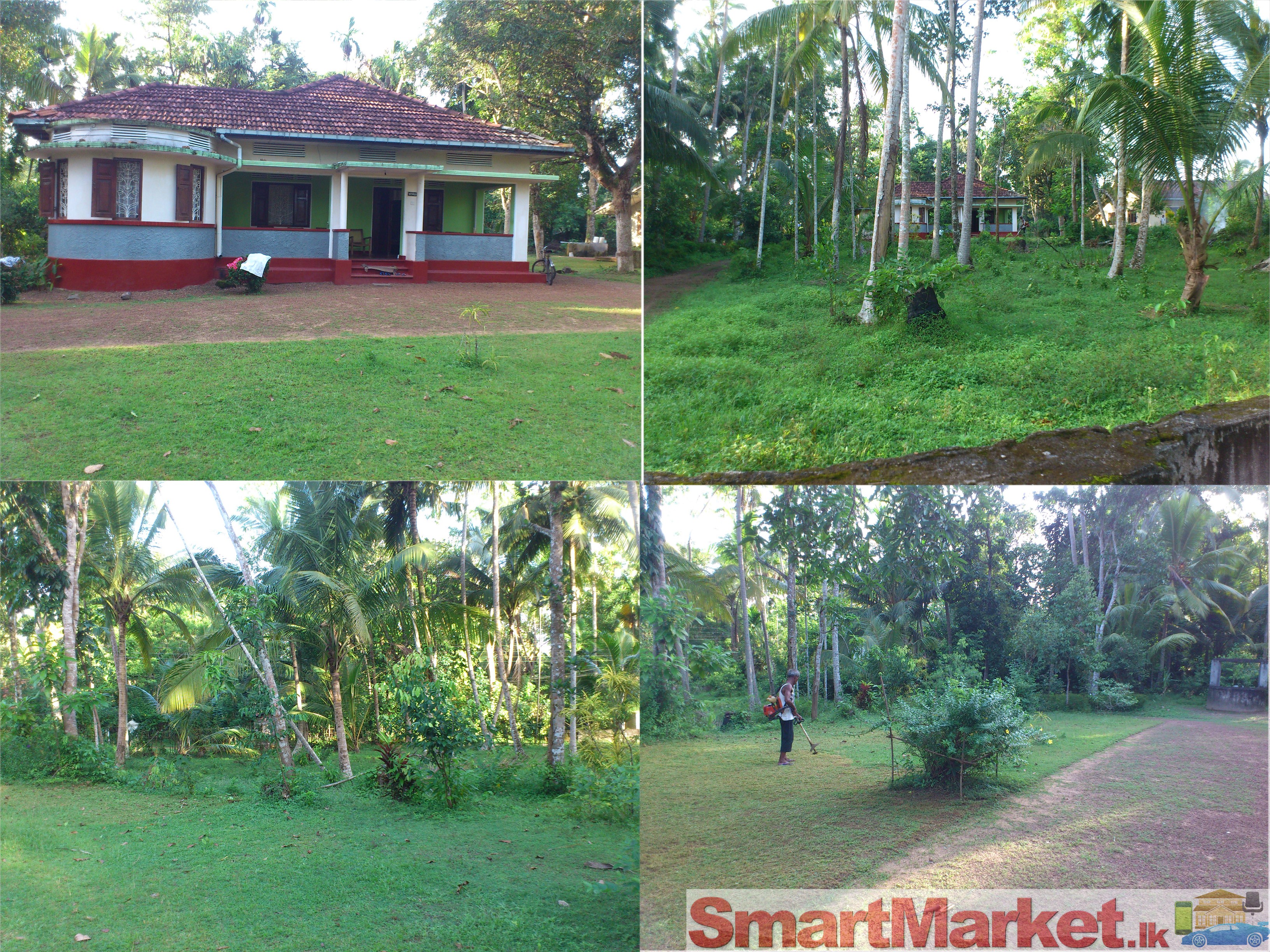 A large Bungalow with 160per mixed cultivated Land For immediate sale.