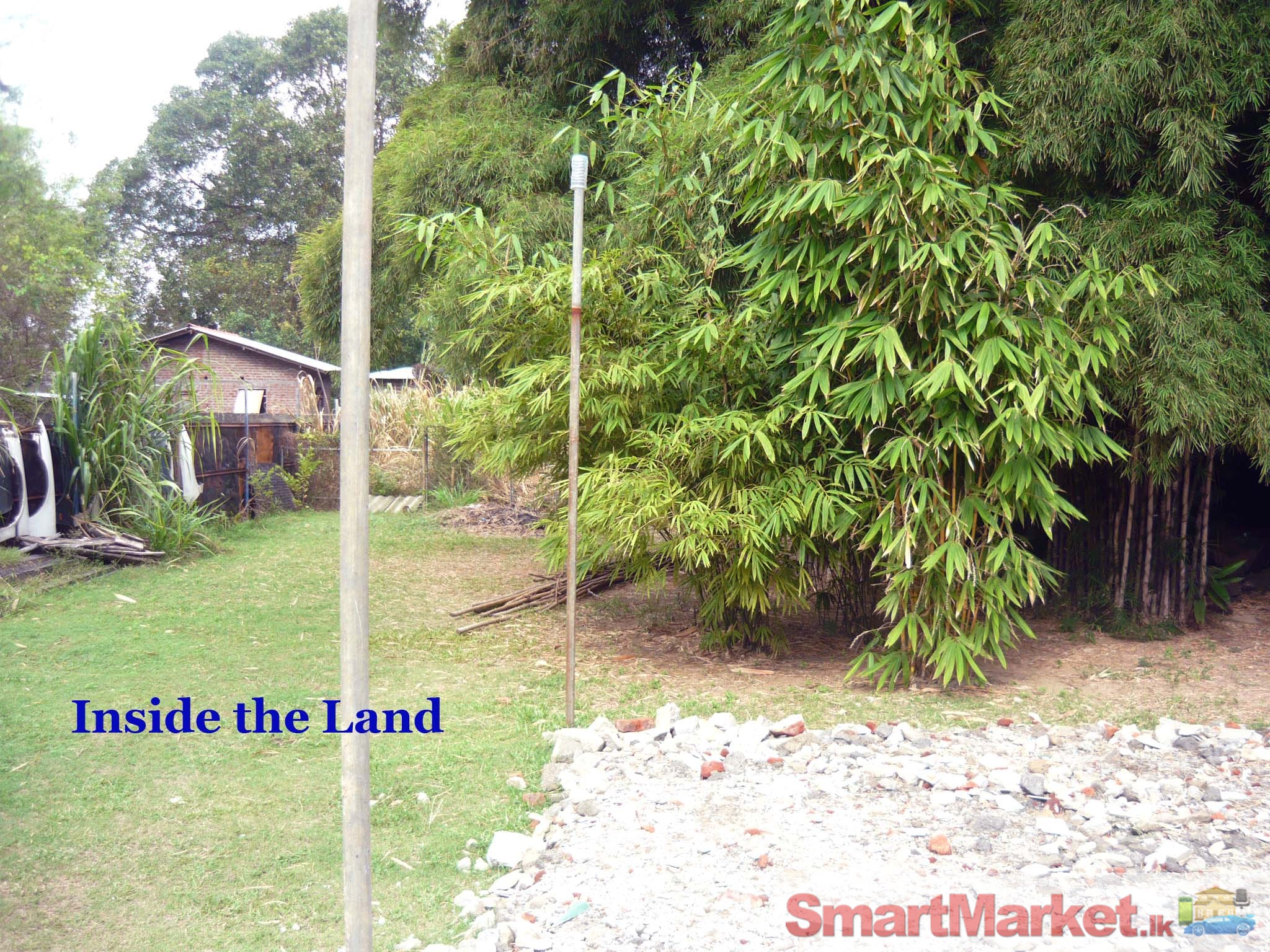 Valuable Land for Sale - THUDELLA