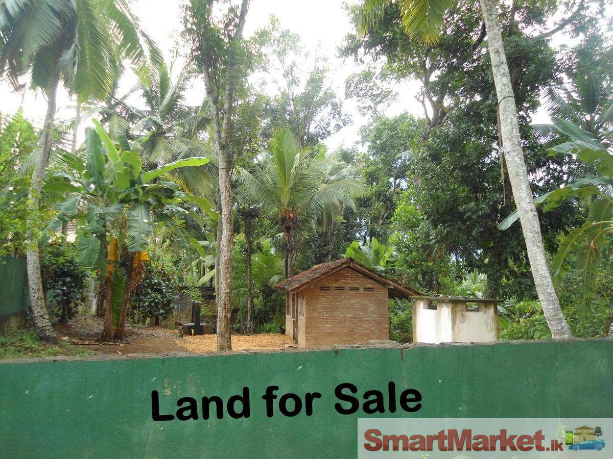 Land For sale near University
