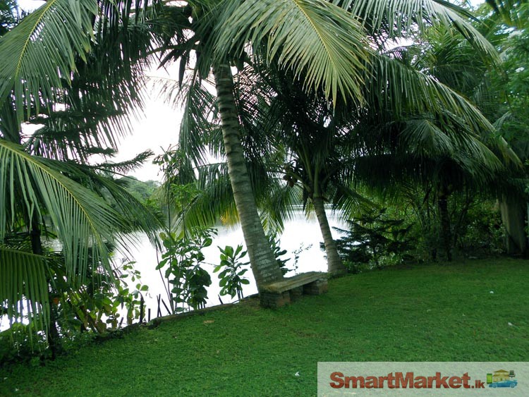 River Frontage Luxury Villa for Rent or lease in Galle