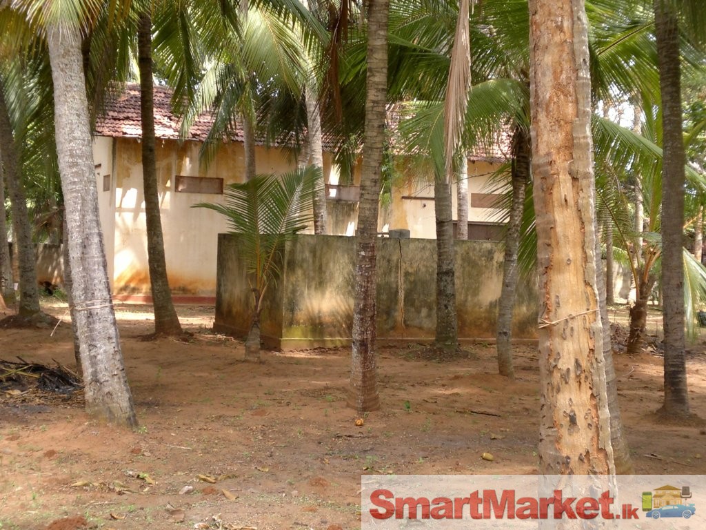 Land For Sale - Hambantota Town