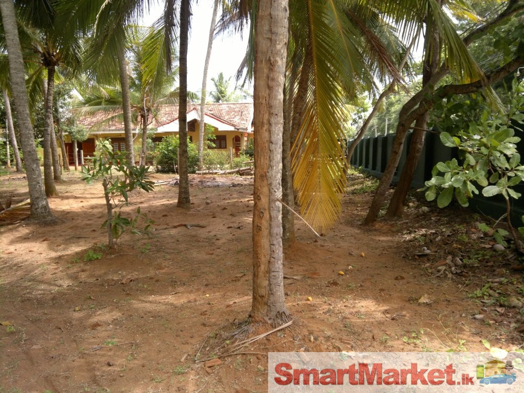 Land for Sale- Hambantota Town