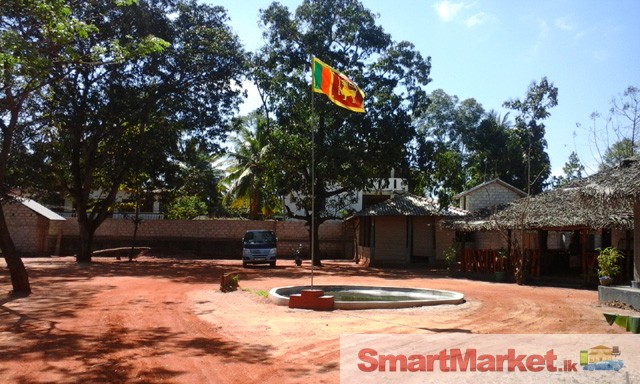 61p Flat Land at Anuradhapura