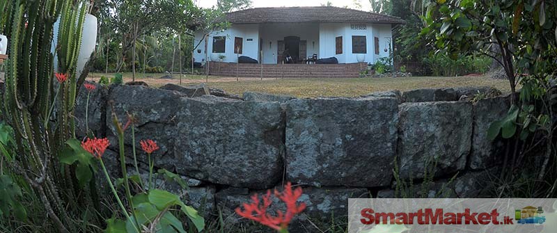 Colonial Coconut Plantation in Galle for rental