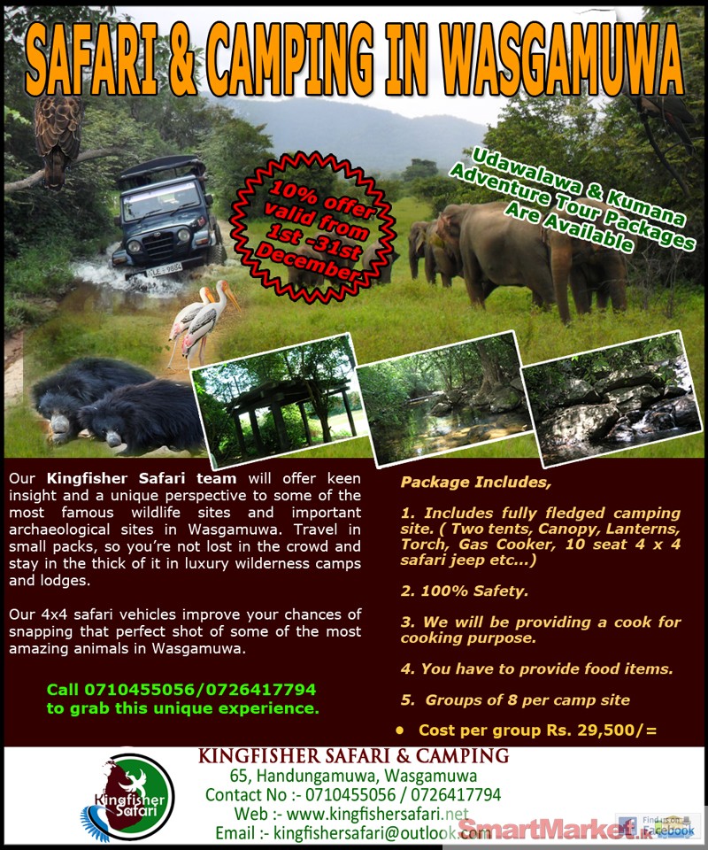 Safari & Camping