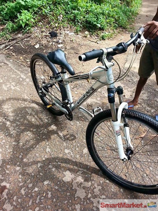 giant rock bike price