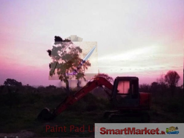 10 acres coconut land for sale in colombo-mannar road