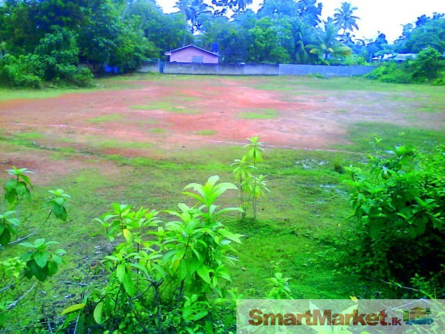 Commercial Land in Wadduwa - 275 Perch