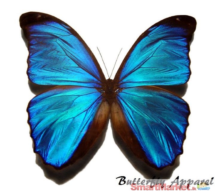 Butterfly Apparel