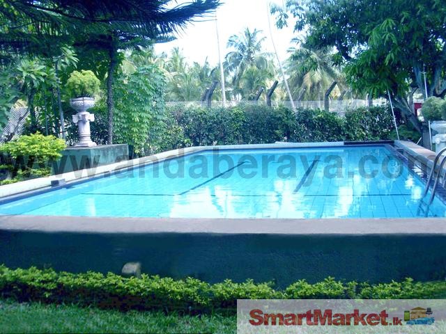 Swimming Pools Designing Services