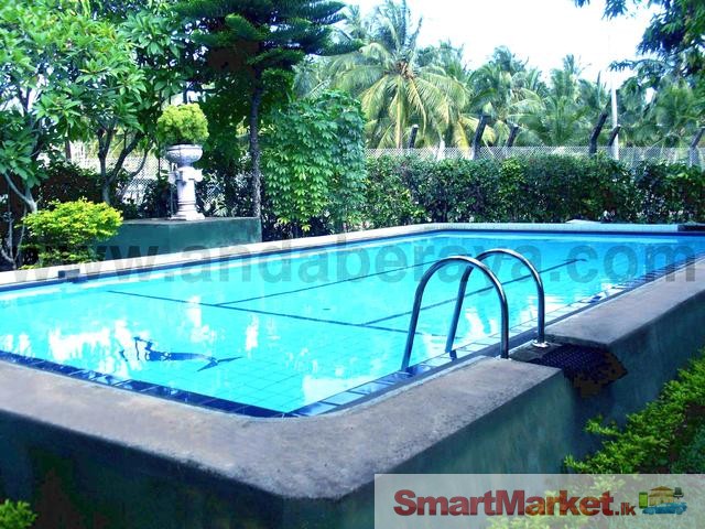 Swimming Pools Designing Services