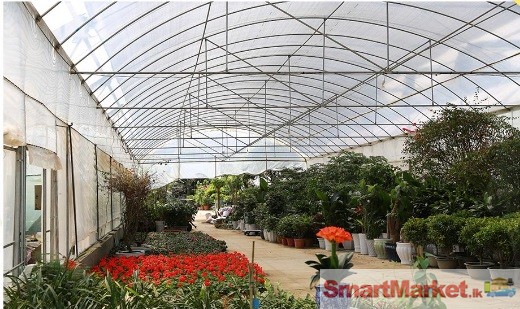 Green House Poly Tunnels
