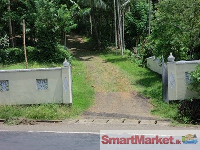 Valuab Land For sale In Pelmadulla