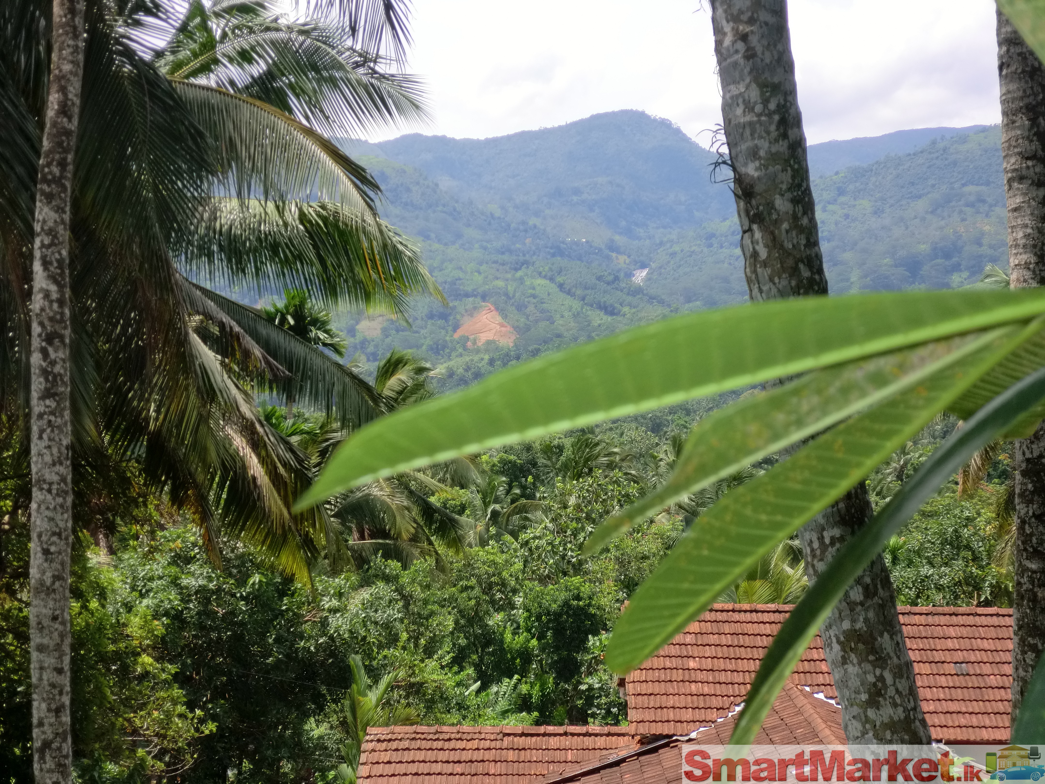 Valuab Land For sale In Pelmadulla