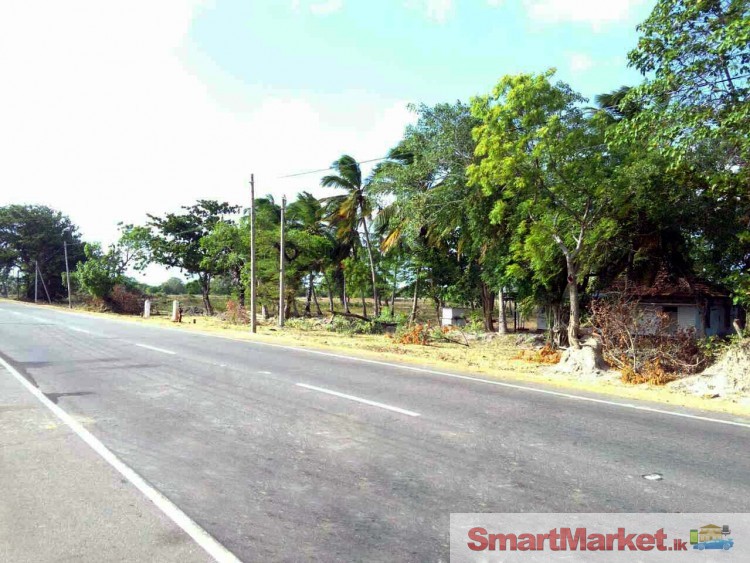 2 1/2 Acres Land for Sale in Mannar.