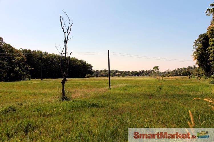 100 Perches Land for Sale in Bemmulla, Gampaha.