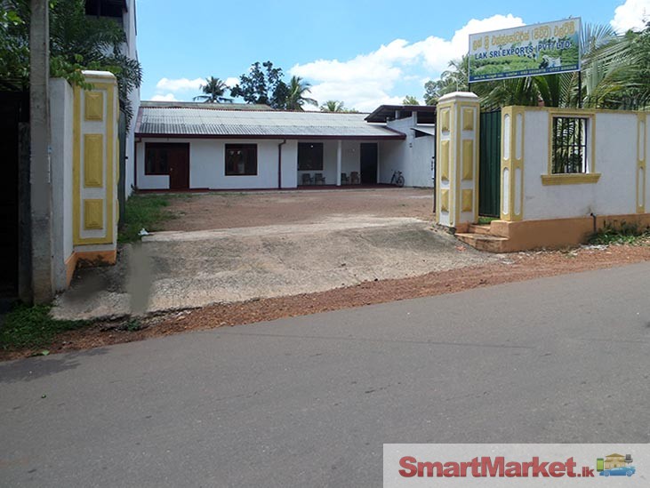 Valuable Property for Sale in Lakshmi Road,Gampaha.