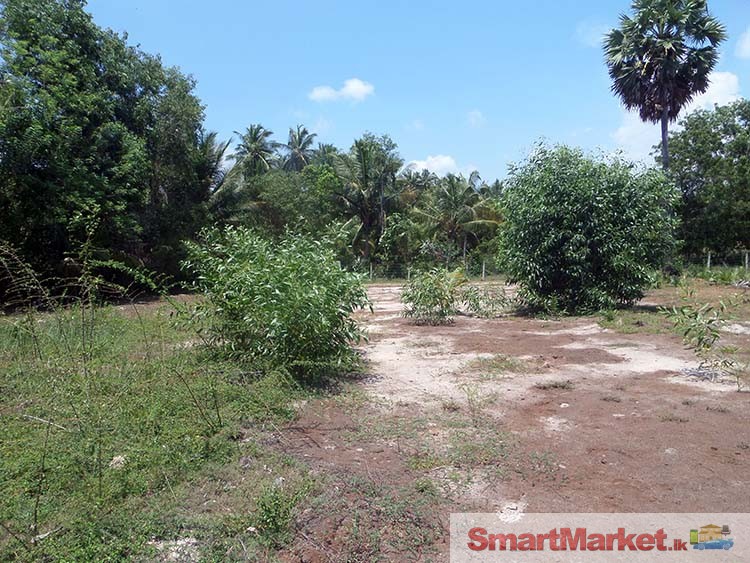 200 Perches Lake front land for Sale at Chilaw