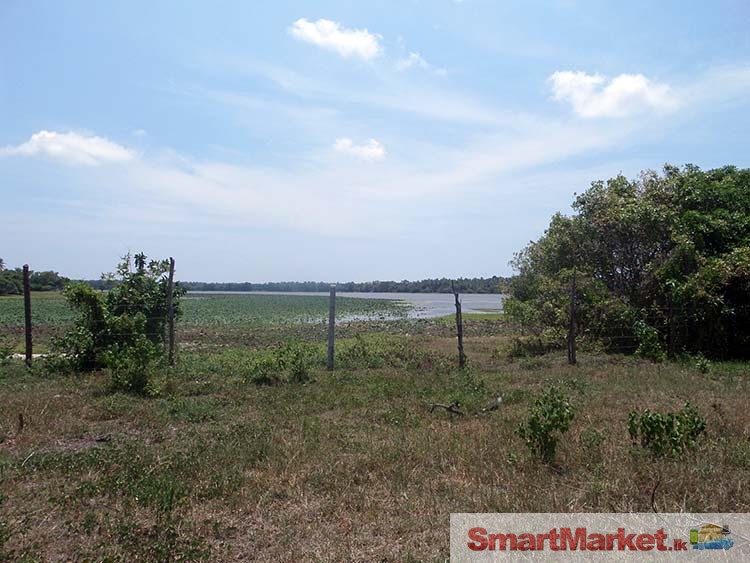 200 Perches Lake front land for Sale at Chilaw