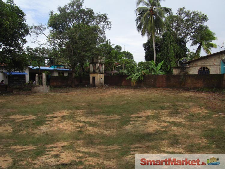 A Valuable Commercial/ Residential Land in Ja- Ela.