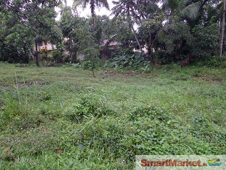 3 Valuable Land Blocks for Sale in Malabe.