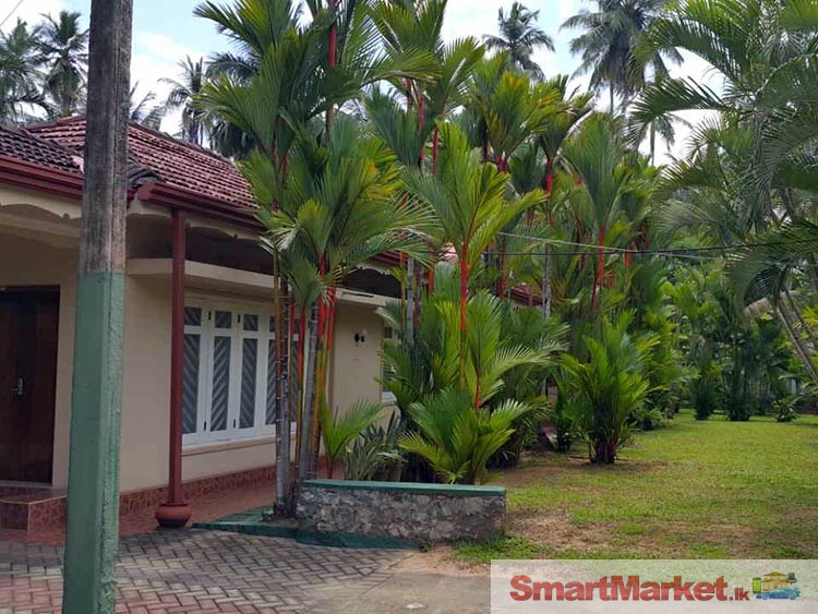 80 Perches Land with Spacious House for Sale in Kochchikade