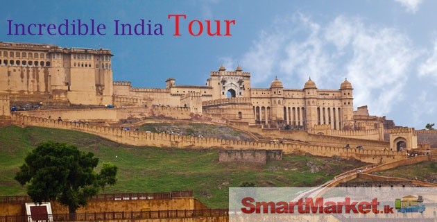 Customize Tour packages planner in Delhi , India