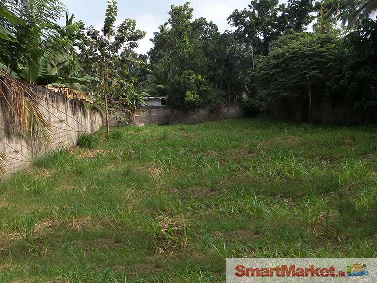 Prime Commercial Land for Sale in Warakapola Town.