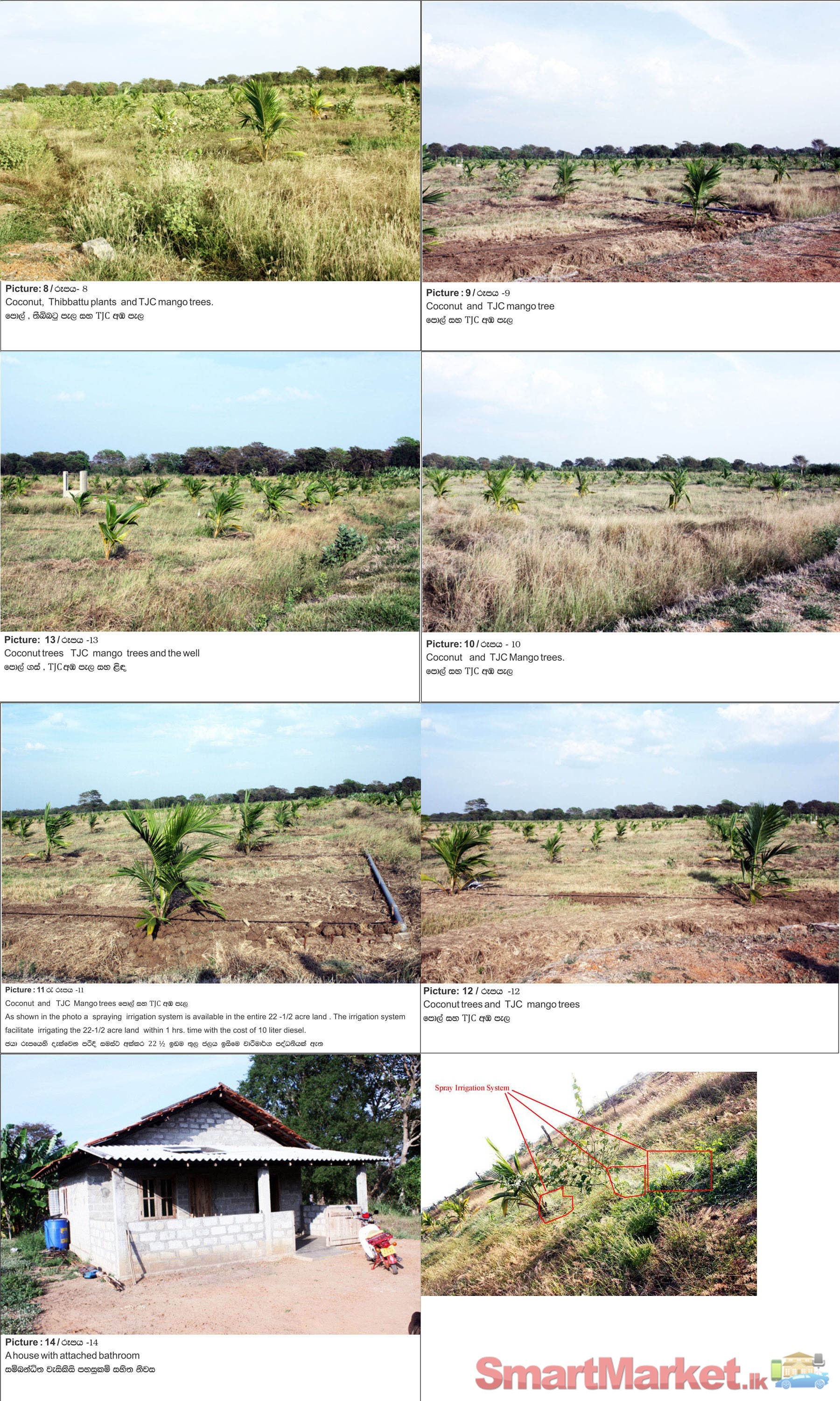 Extend of the land for sale.