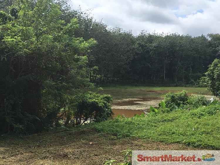 140 Perches Land for Sale at Kaluaggala