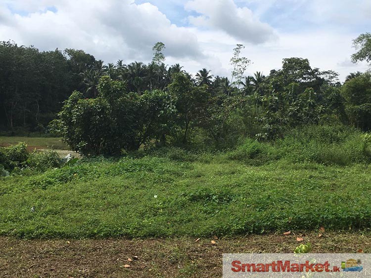 140 Perches Land for Sale at Kaluaggala