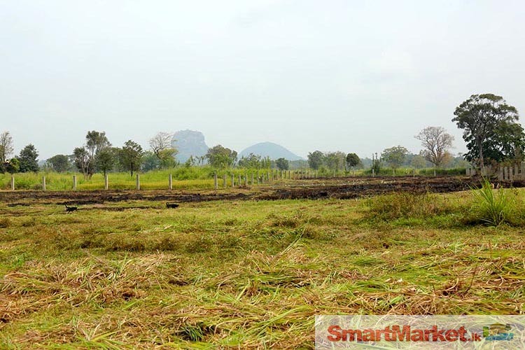 7 Acres Eco Friendly Land for Sale in Sigiriya