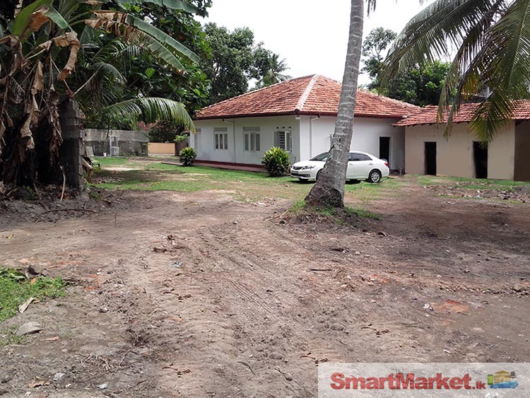 Valuable Property for Sale in Polhena, Matara.