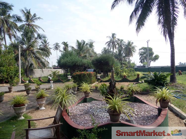 Paddy Field Facing Luxury House for Sale