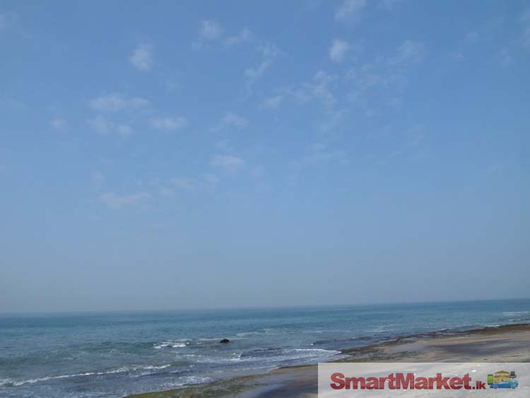 Nearly 2 Acres Beach Front Land for Sale in Negombo.
