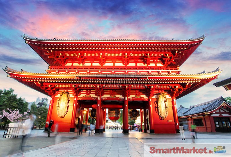 Japan Holiday Package