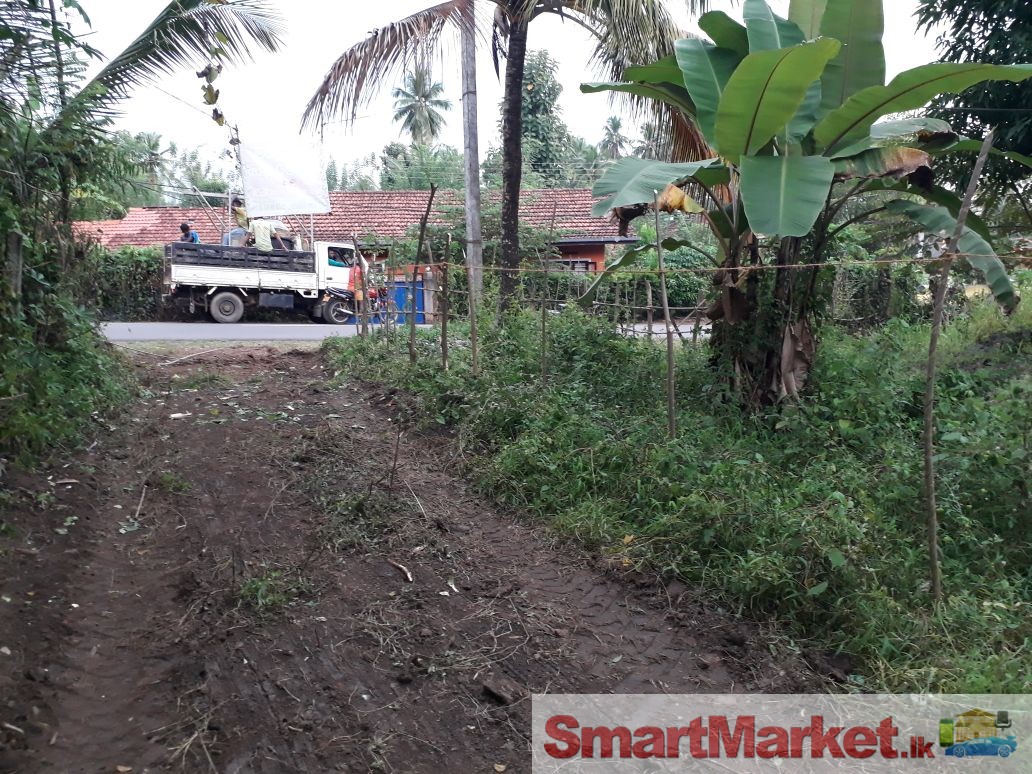 Land for sale in Walasmulla