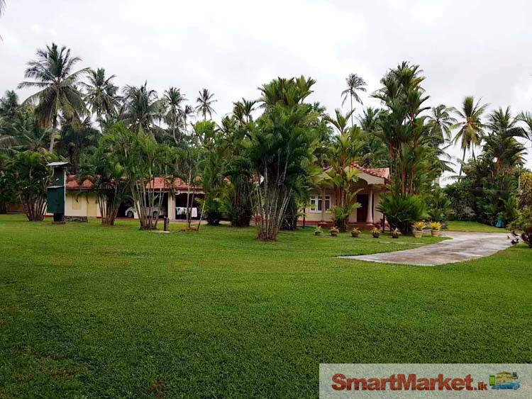 Land with Complete House for Sale in Kochchikade.