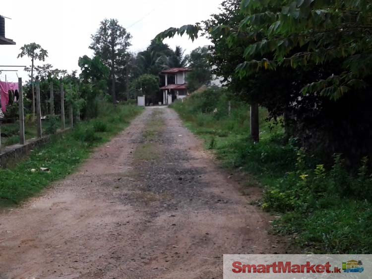 Commercial Land for Sale at Horana