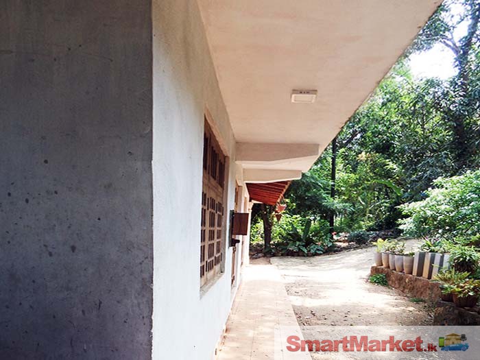 House for Sale in A9 Road, Ududeniya, Nalanda, Matale.